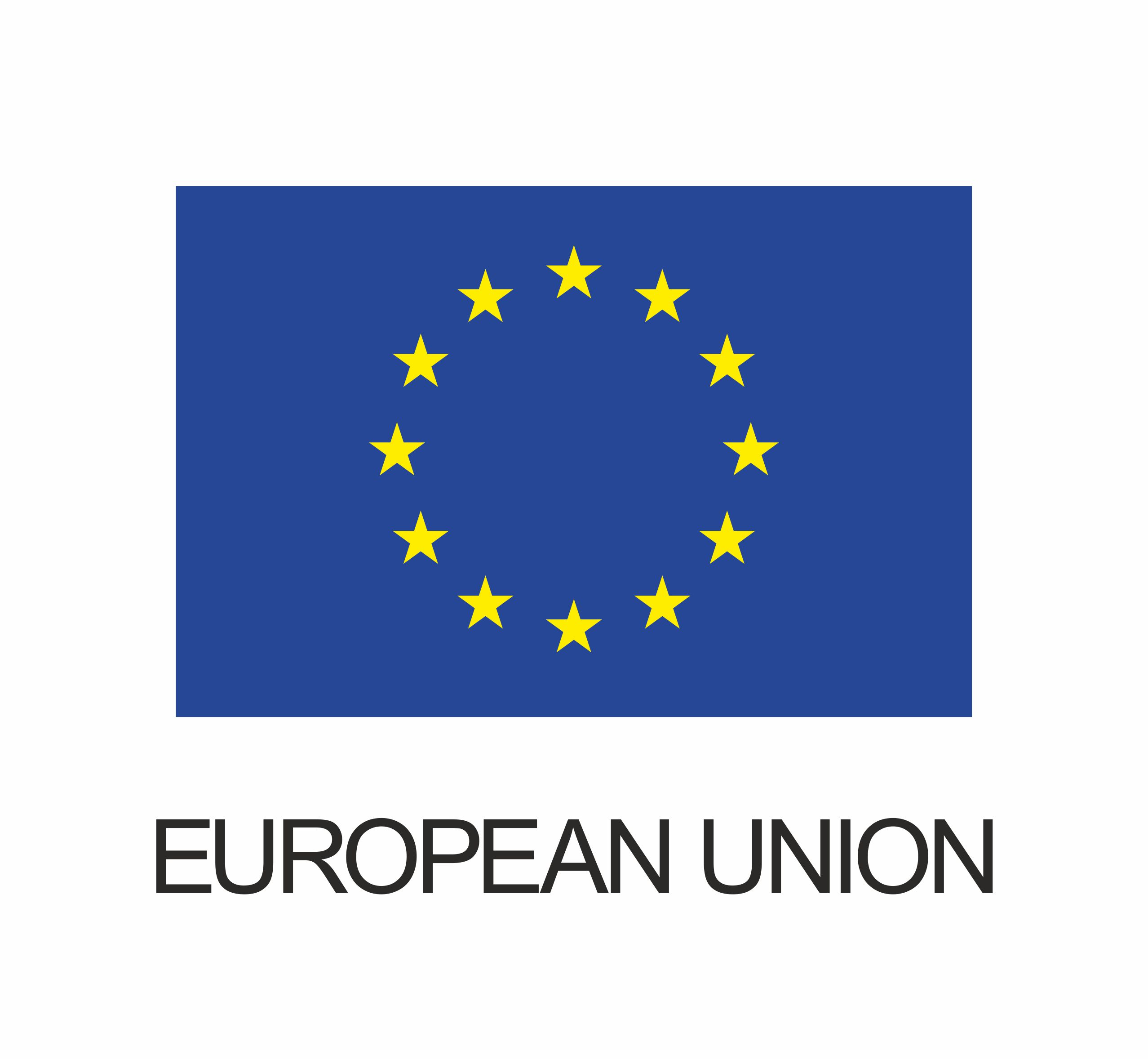 logo_EU_barva_ita.jpeg